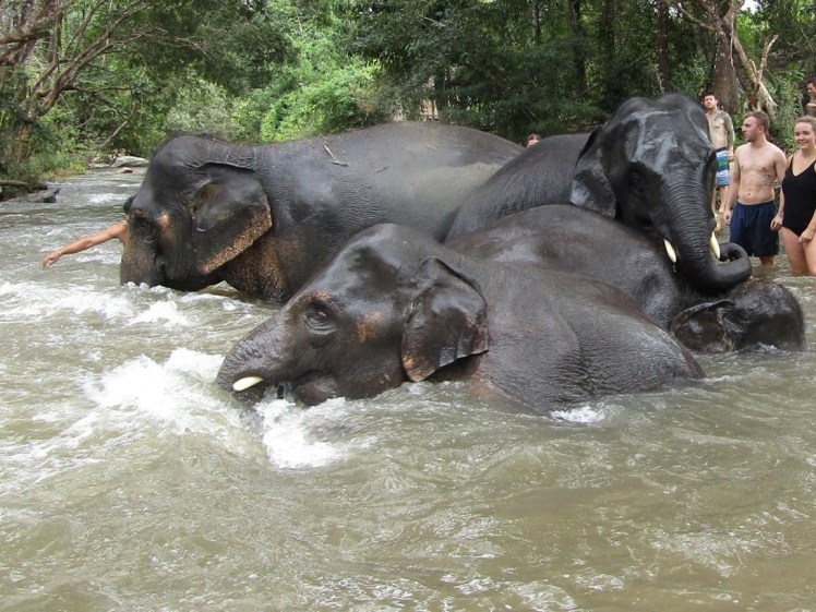 23511447_1008067056015978_8333398762824887727_o